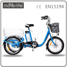 MOTORLIFE / OEM Marke EN15194 36 V 250 Watt Dreirad Elektromotor Motorrad, neueste elektrische Trikes